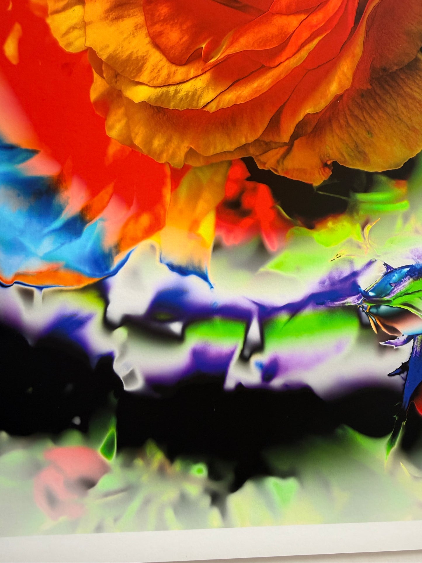 Rainbow Rose
